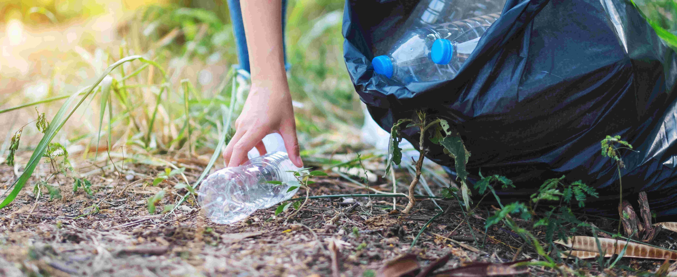 Closeup image of a woman picking up garbage plastic bottles into a bag for recycling concept